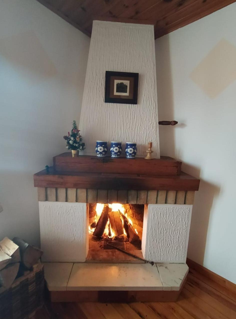 Apartmani Milic Sirogojno 객실 사진